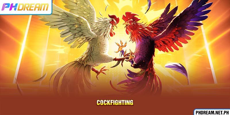 Cockfighting